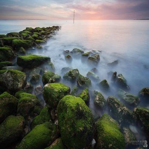Quand la nature s’exprime, les bons filtres savent se faire oublier.

Dans cette image signée @jeanphilippebellonphotography , la roche recouverte d’algues capte la lumière du couchant avec intensité, tandis que la mer, adoucie par une pose longue parfaitement maîtrisée, enveloppe la scène d’un voile presque irréel.

Pour arriver à ce rendu :

🔹Le filtre Kase ND 64 a permis d étirer le temps pour lisser les mouvements de l’eau.
🔹Le filtre GND 0.9 a équilibré la forte luminosité du ciel au coucher du soleil pour préserver les détails dans les hautes lumières.

Résultat : une composition équilibrée et immersive, qui met en valeur la texture naturelle des roches sans sacrifier la douceur du ciel et de la mer.

📍Le Pyla, France
📸 Canon 600D
🎛️ f/11 • 14mm • 100ISO • 60s
🪟ND 64 + GND 0.9

#kasefiltersfrance #teamkase #kasefiltersglobal #kaseglobal @kase_filters_global @kaseglobal #bassinarcachon #arcachon